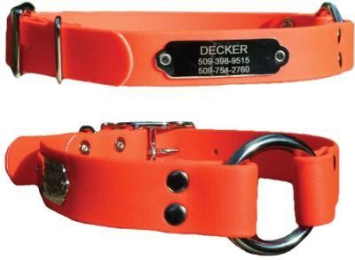 Waterproof Orange Hunting Dog Collar Resistant to Dirt