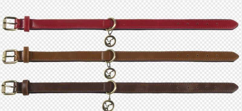 Custom Padded PU Leather Pet Dog and Cat Collar Leash