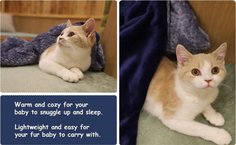 Premium Fluffy Fleece Dog Blanket Cat Blanket