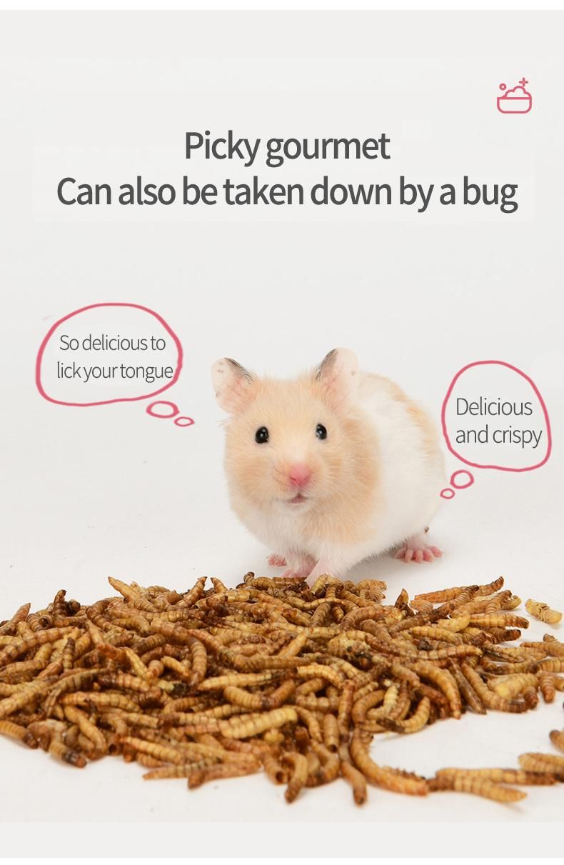 Yee Hamster Snacks Pet Nutrition Supplies High Protein Beauty Hair Pet Products
