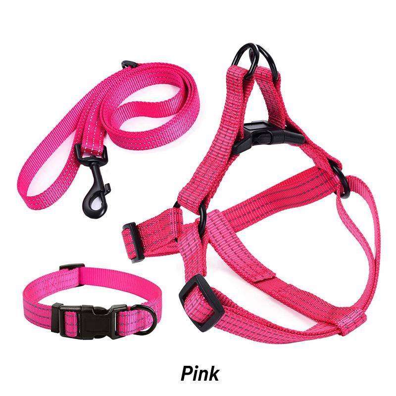 Personalized Reflective Adjustable Nylon Pet Dog Collar Leash Harness Set