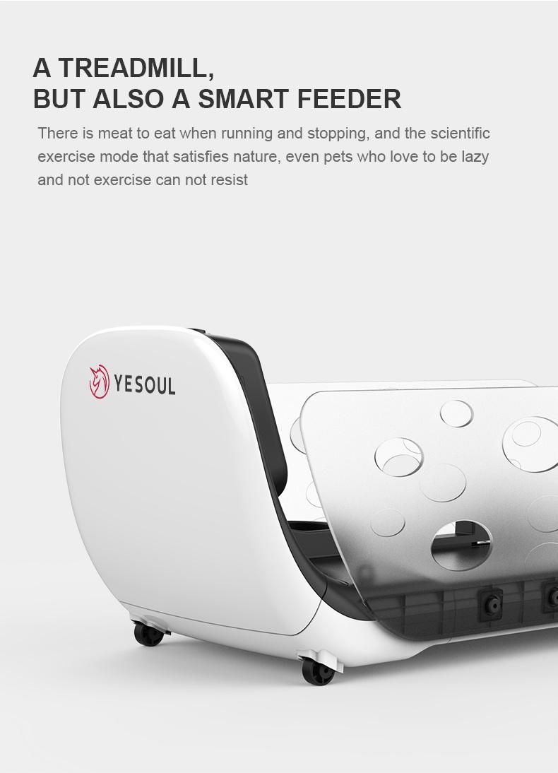 Pet Treadmill for Dog Automatic Feeding Yesoul Brand