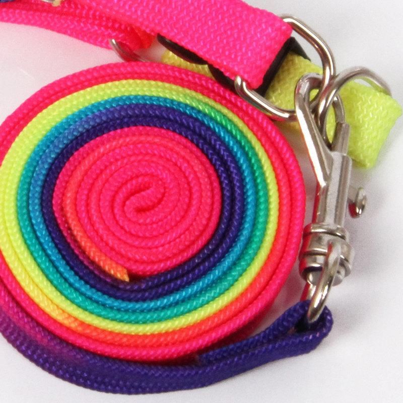 Rainbow Color Leash for Small Pet Teddy
