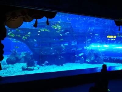 Acrylic Aquarium Panel