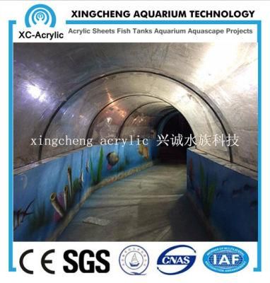 Customized Clear Acrylic Material Acrylic Seal Tank Project