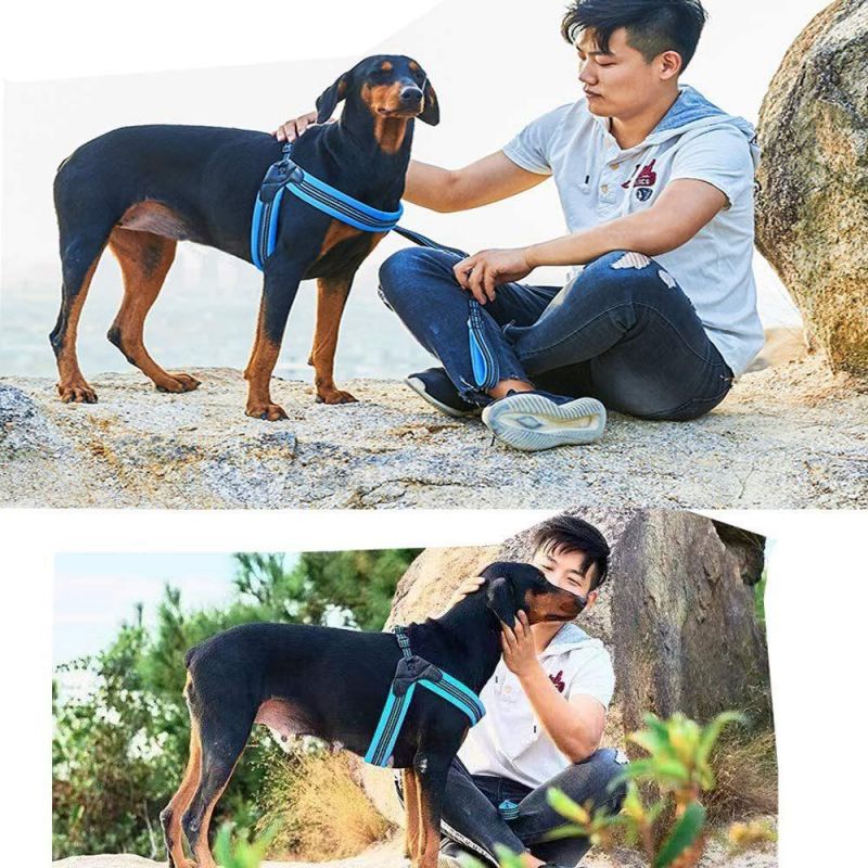 Easy to Use Mesh Padding Dog Harness