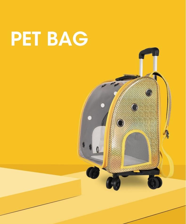 Large Portable Take-out Shoulder Cat Bag Summer Outing Pet Full Transparent Space Capsule Pet Backpack