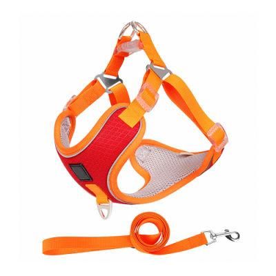Puppy Harness and Leash Pet Harness