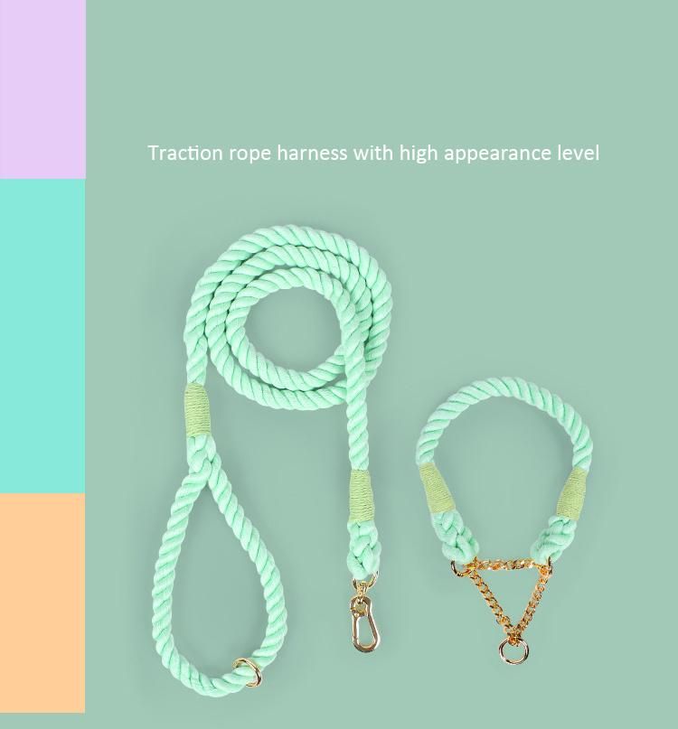 New Arrival Personality Design Leash Matched Chain Design Collar Dog Lead