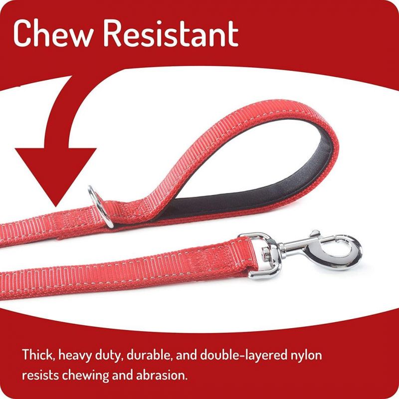 Super Strong Double Layer Nylon Dog Leash with Fast Delivery