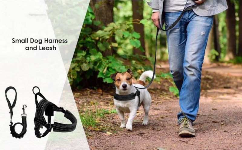 Soft Padded Reflective Adjustable Puppy Harness Anti-Twist 4FT Pet Lead Quick Fit for Small Dog Cat Animal