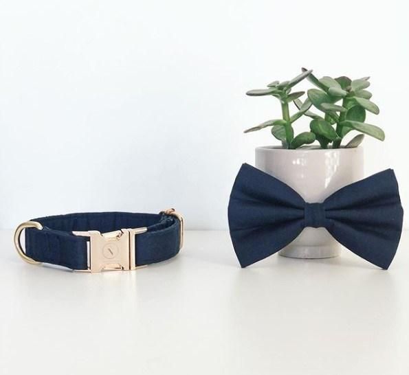 Print Pattern Metal Buckle Private Brand PVC Logo Velvet Pet Dog Collar