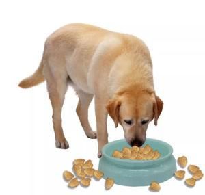 Wholesale Pet Supplier Solid Color Round Melamine Plastic Pet Bowl &amp; Feeder