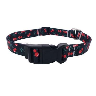 Promotional Pet Products Custom Fashion Dog Collar with Double D-Ring