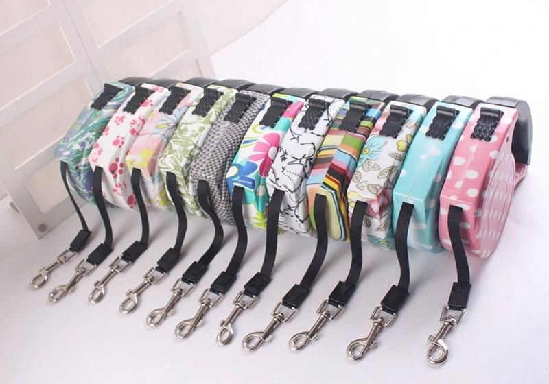 Personalised Retractable Ribbon Pet Training Dog Leash Retractable