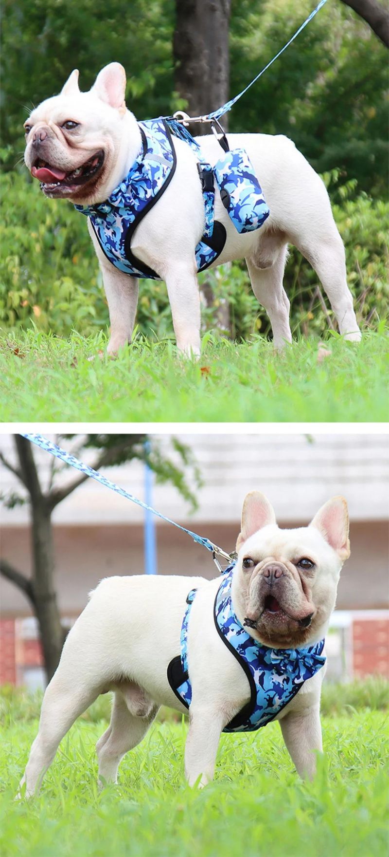 Charming Pet Set Including Dog Harness Dog Bowtie Collar Dog Leash & Dog Poo Bag