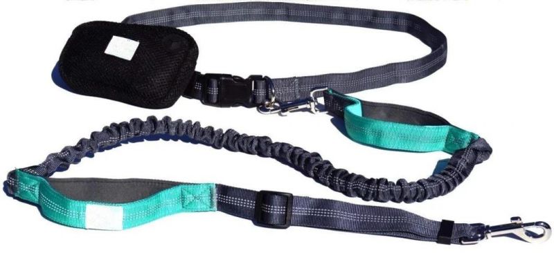 Pet or Dog Leash for Outside Activities