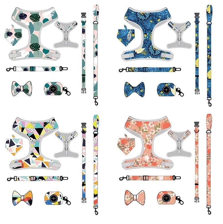 Customized All Kinds of Harness Design Pattern Dog Harness