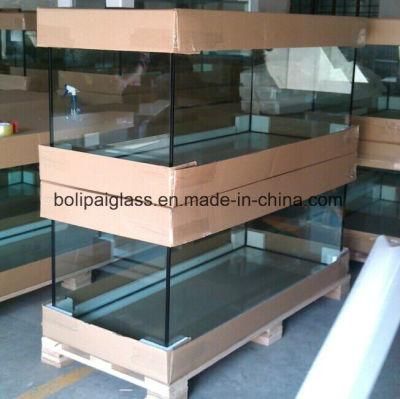 Custom Made Ultra Clear Glass Fish Tank