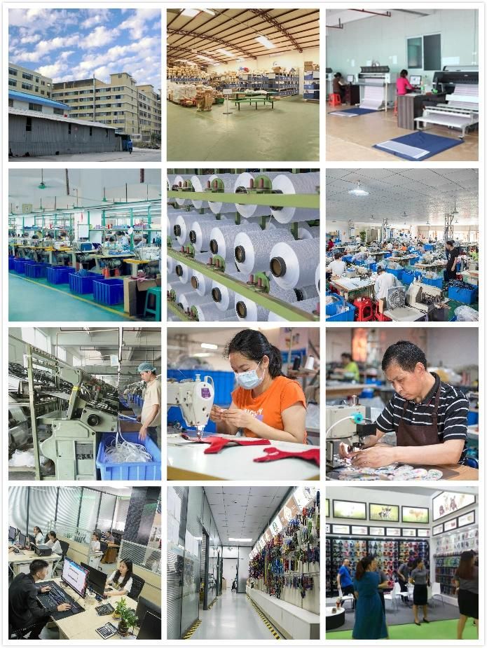 Wholesale Cheap Custom Fashionable Pet Cloth for Dog Cat