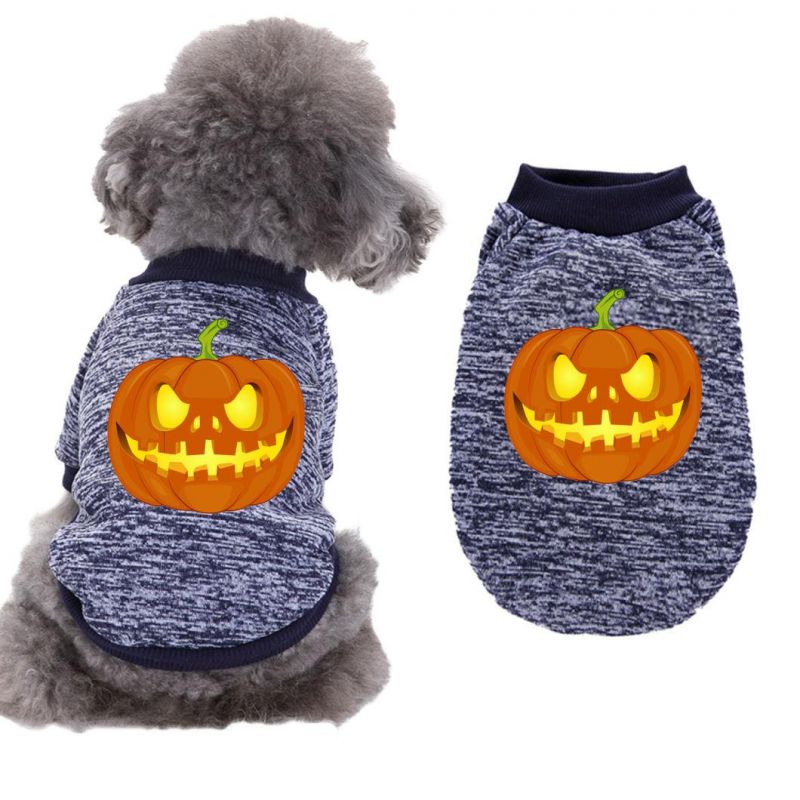Halloween Teddy Costume Pumpkin, Pattern Pet Sweater Dog Cat Autumn Winter Clothes