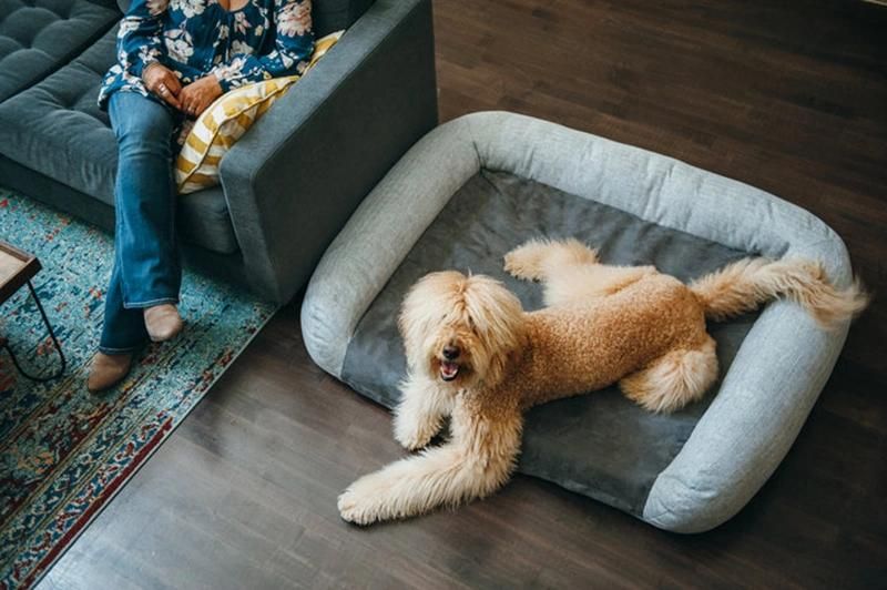 High Quality Custom Pet Sofa High Density Memory Foam Non-Slip Waterproof Dog Bed