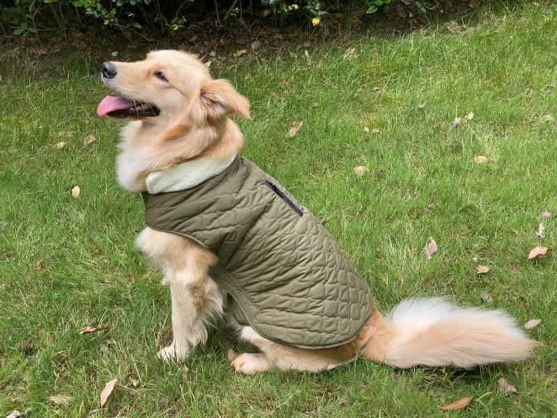 Winter Waterproof Pet Clothes Latest Design Dog Vest Double-Sided Wear Coldproof Dog Clothes