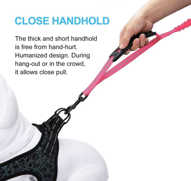 training Dog Leash with Comfortable Padded Handle and Traffic Handle Suitable for Training