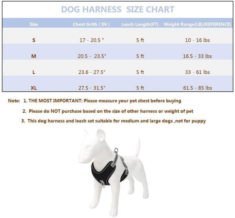 Air Mesh Dog Harness and Leash Set for Large Dogs