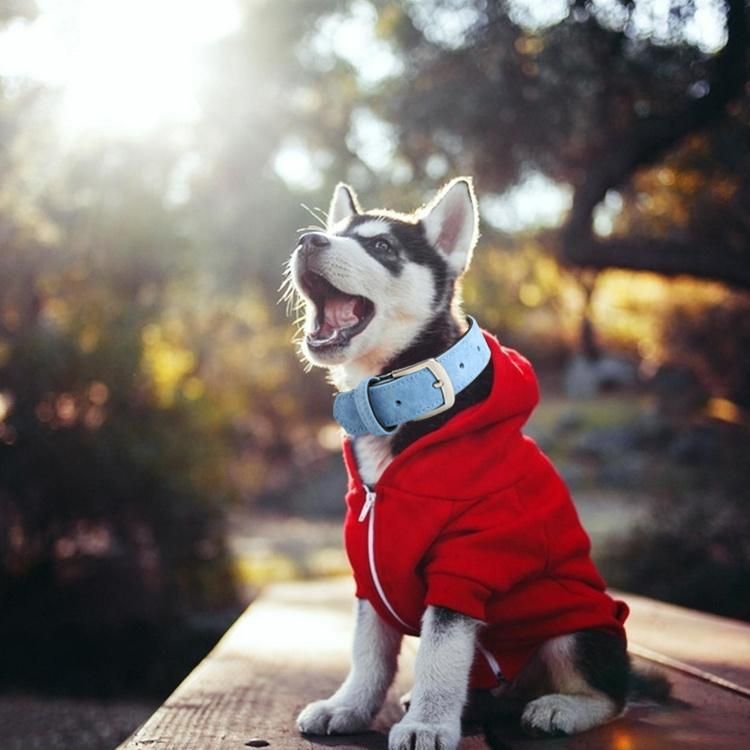 Factory Fashion Adjustable Comfort Pet Dog Collar, Private Durable PU Leather Dog Collars Logo Custom
