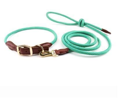 Woven Nylon Dog Leashes, Customized Designs