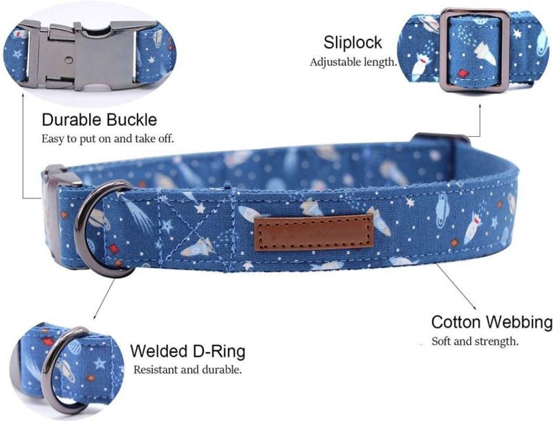 Fast Delivery Pattern Dog Collar Leash