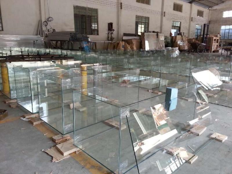 Custom High Quality Curve Ultra Clear Glass Aquarium