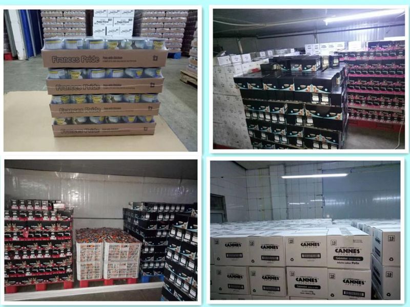OEM/ODM China Supplier Wholesale Bulk Pouched 85/100g Dog Cat Wet Liquid Food Pet Food Dog Snacks