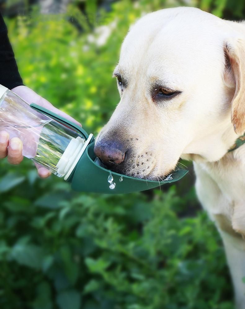 New Design! Portable Pet Dog Travel Water Bottle, with Food Container