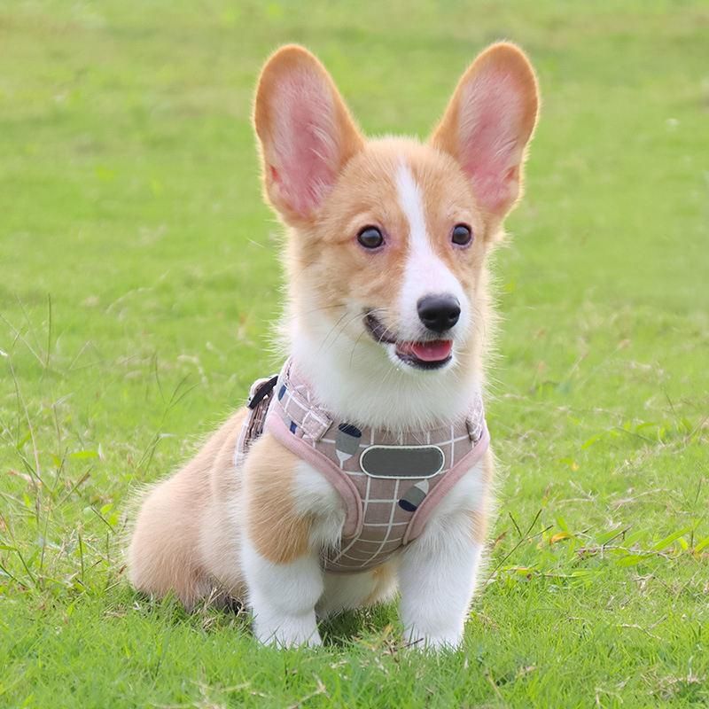 Breathable Cloth Mesh Dog Pet Harness Lead Training Jogging Wear Leash Harness Set