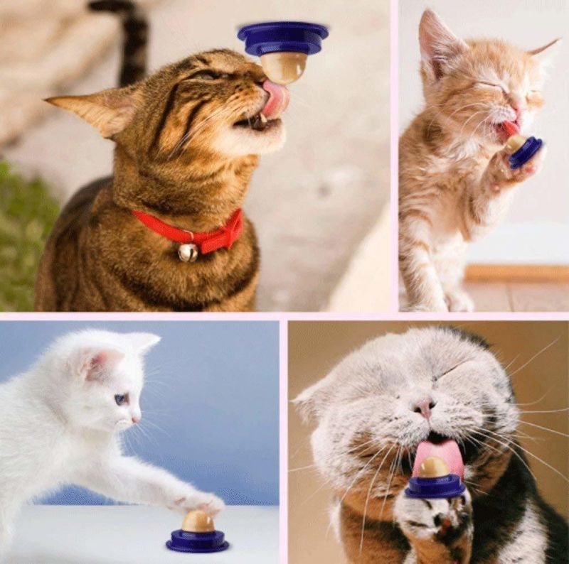 Cat Snacks Licking Sugar Solid Nutrition Gel Energy Ball Cat Treat