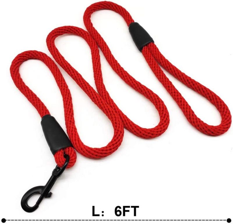 Fashion Colors with Bright Individuality Rope Dog Leash