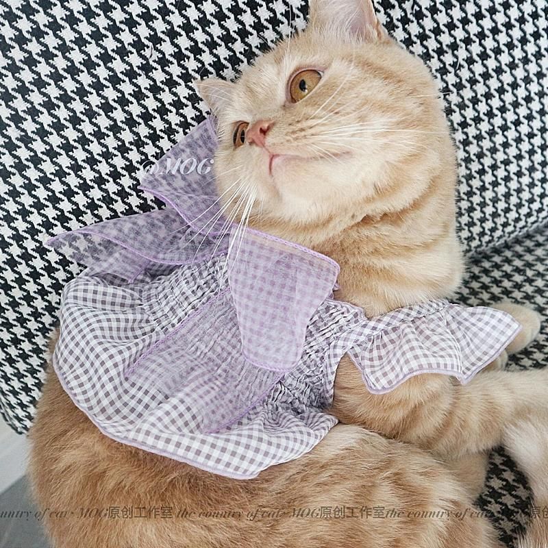Luxury Pet Dog Cat Skirt Sequined Embroidered Lace Dress Clothes Evening Dress Wedding Dog Cat Clothes