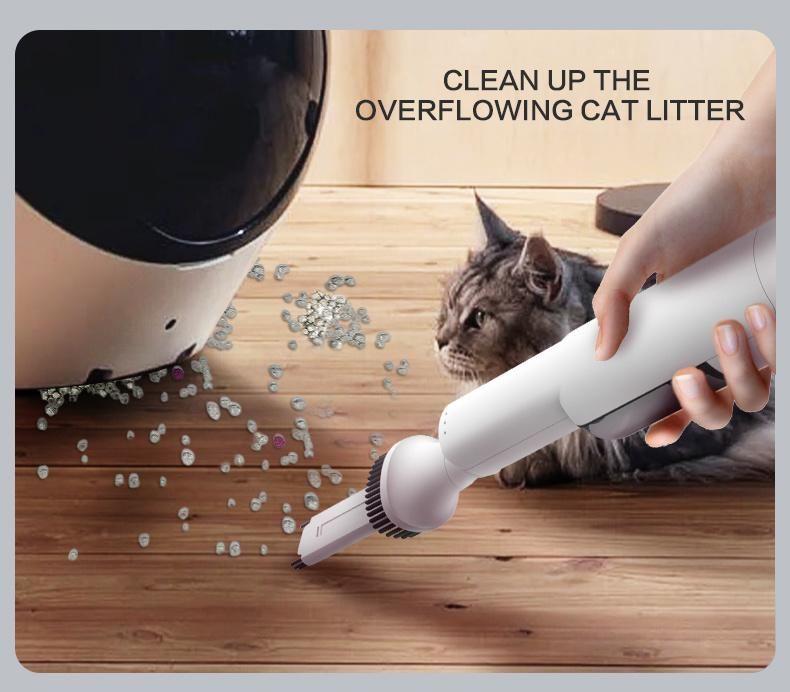 Personal Use Wireless Pet Hair Cleaning Machine