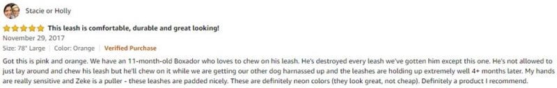 Strong Durable Nylon Small Animals Training Leash, Best Dog Supplies