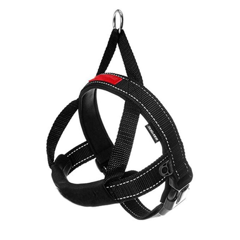 OEM All Kinds of Pet Products, Pet Accessories, Pet Supplier