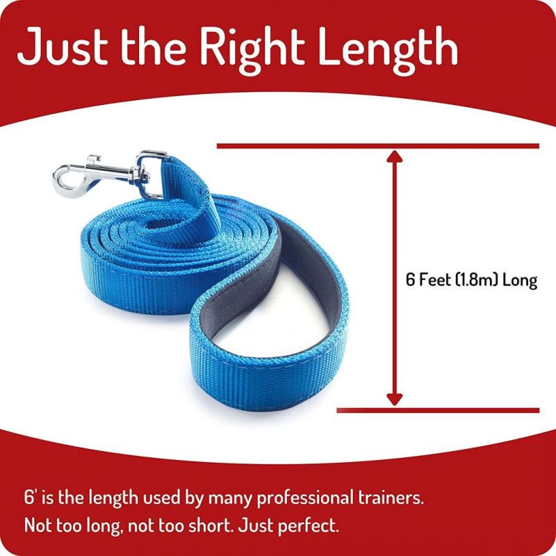 Strong Heavy Duty Dog Leash Preferred by Professional Trainers for Everyday Use