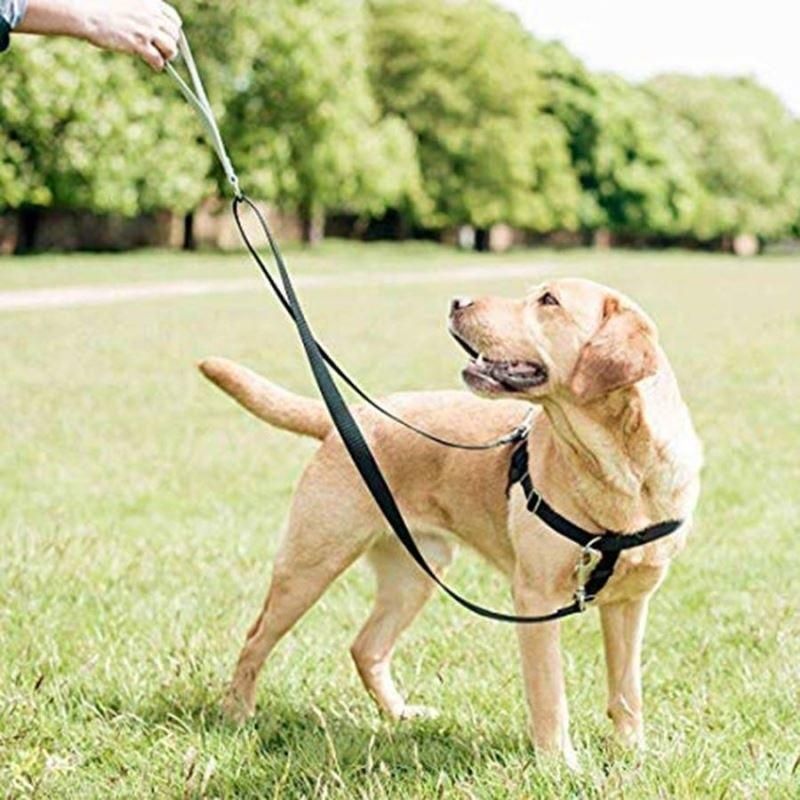 OEM Multiple Designs Reflective Walking Dog Harness with Leash/Pet Toy /Dog Harness/Pet Accessories