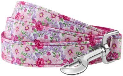 Super Adorable Prints Heavy Duty Dog Leash, Strong Western Leashes