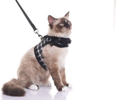 Cat Harness with Heavy D Rings for Leash Attaching