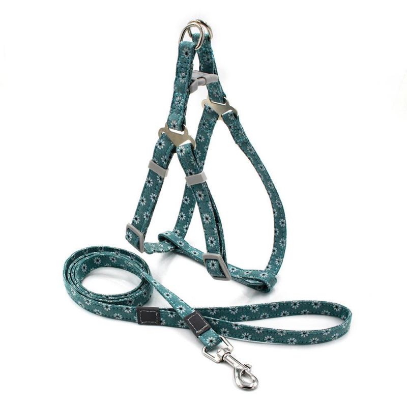 Bohemia Design Dog Leash and Back Set