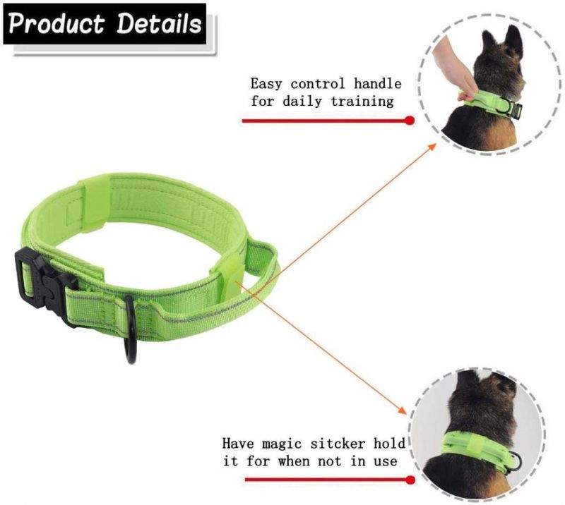 Reflective Nylon Dog Collar with Metal Buckle and Control Handle