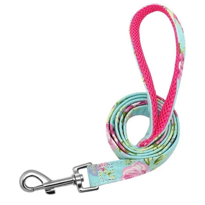 Wholesale Custom Design Mesh Padding Dog Leash