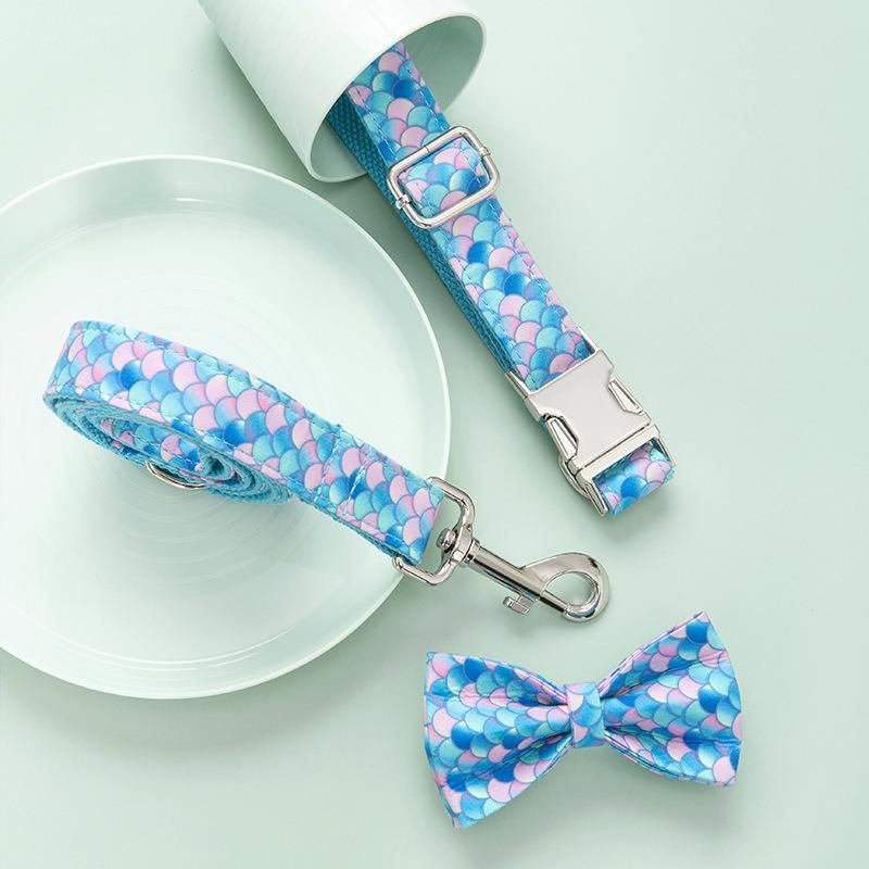Wholesale Free Sample Dog Accessories Neoprene Durable Dog Collar Designer